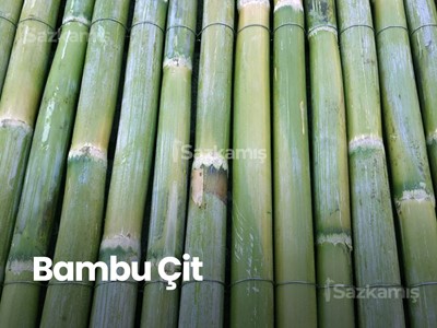 Bambu Nedir?