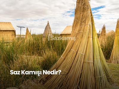 Kamıştan Neler Yapılır?