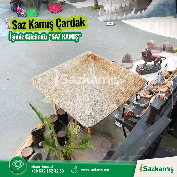 Afrika çatısı bakımı nasıl yapılır? Nasıl temizlenir?