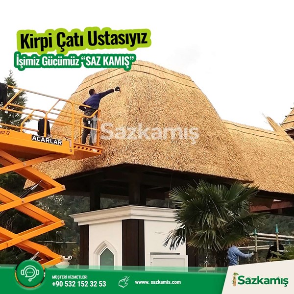 Afrika çatısı bakımı nasıl yapılır? Nasıl temizlenir?