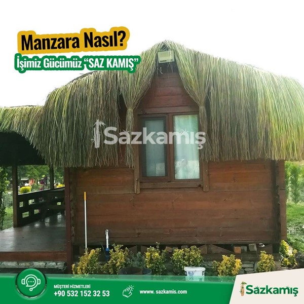 Hasır Kamelya Ürünleri