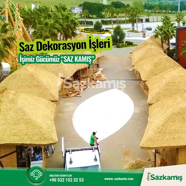 Afrika çatısı bakımı nasıl yapılır? Nasıl temizlenir?