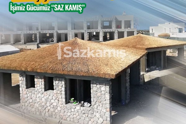 Saz Kirpi Çatı