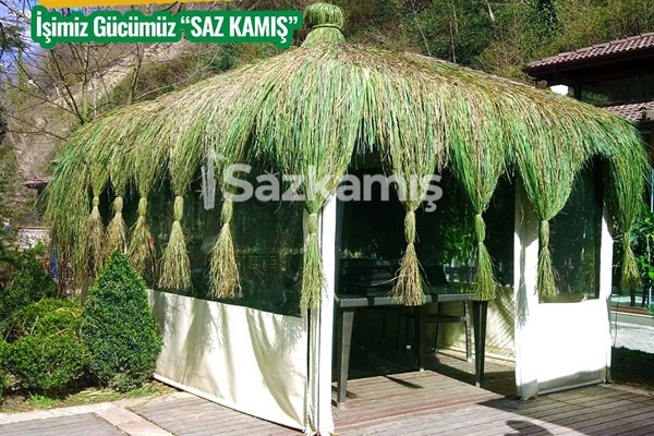 Hasır Kamelya Uygulama