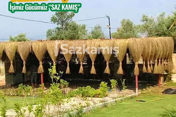 Püsküllü Hasır Kamelya