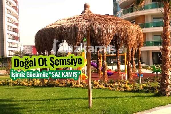 Çin Otu hasır Şemsiye