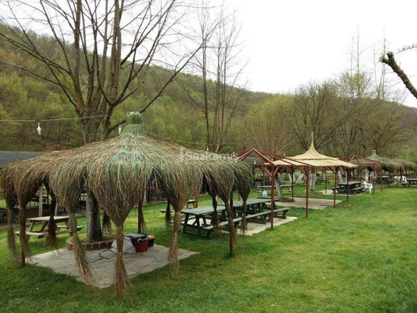 Hasır Kamelya Ürünleri