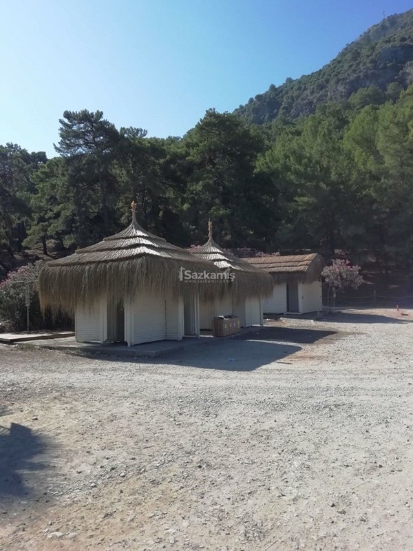 Hasır Kamelya Ürünleri