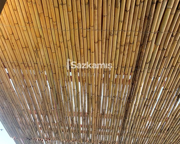 Bambu Çatı Kaplama