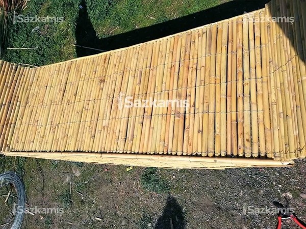 Bambu Kamış