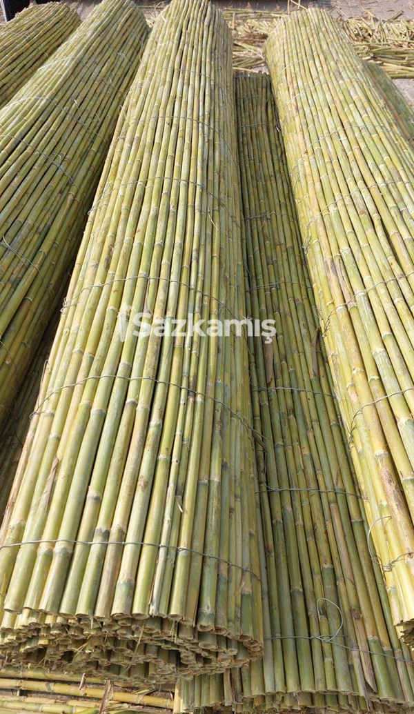 Bambu Kamış