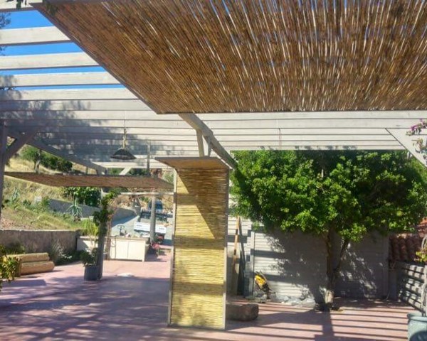 Bambu Gölgelik