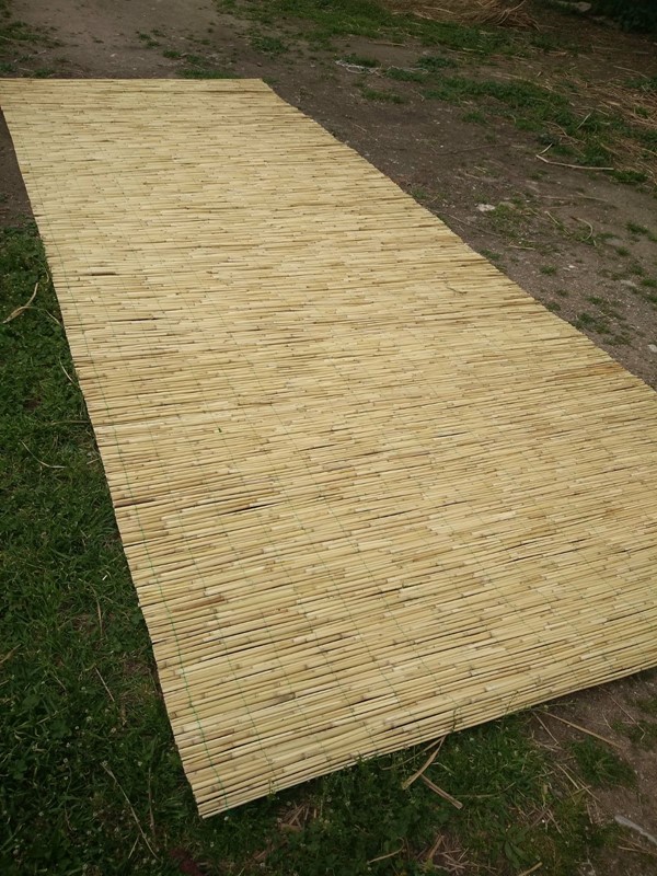 Saz Kamışı nerelerde kullanılır?