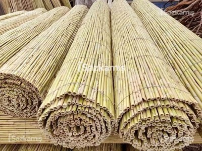 Bambu Çit