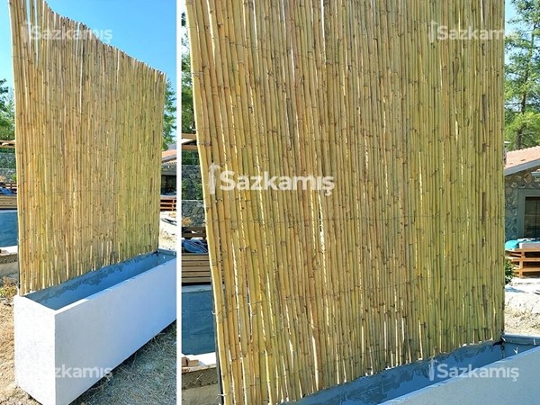 Bambu Kamış