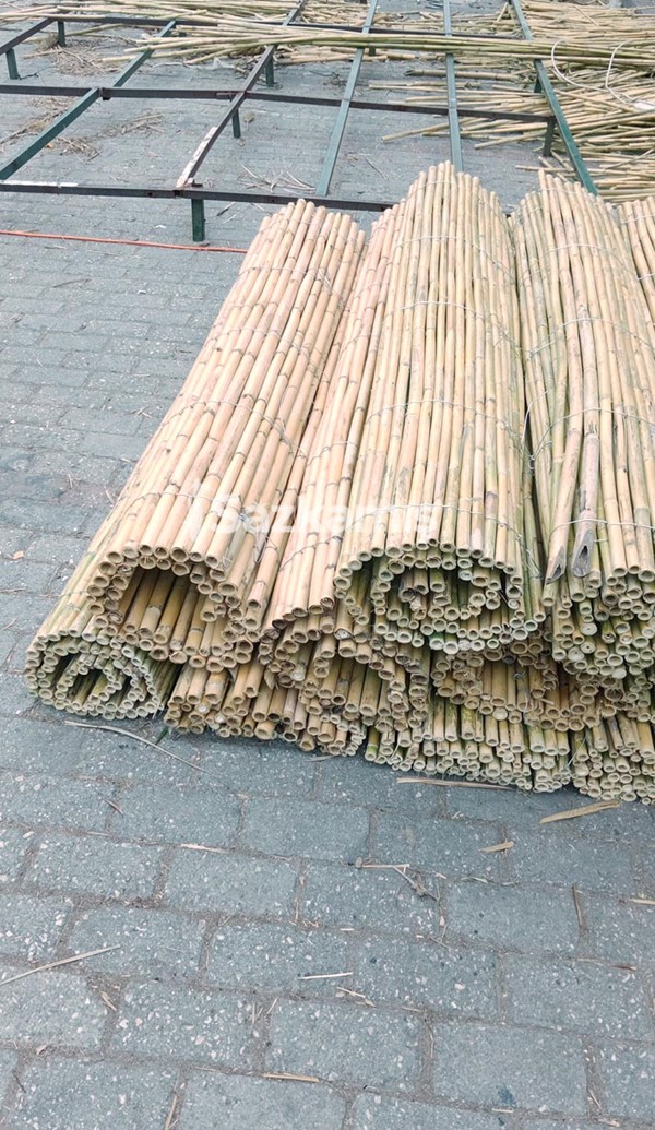 Bambu Kamış