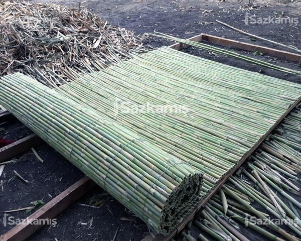Bambu Çit