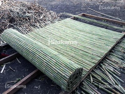 Bambu Çit