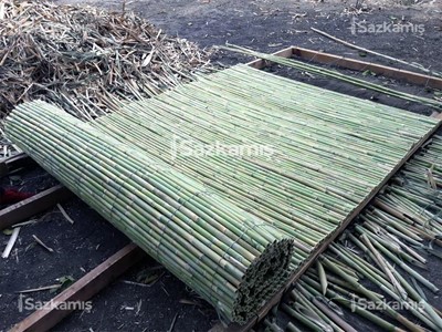 Bambu Kamış