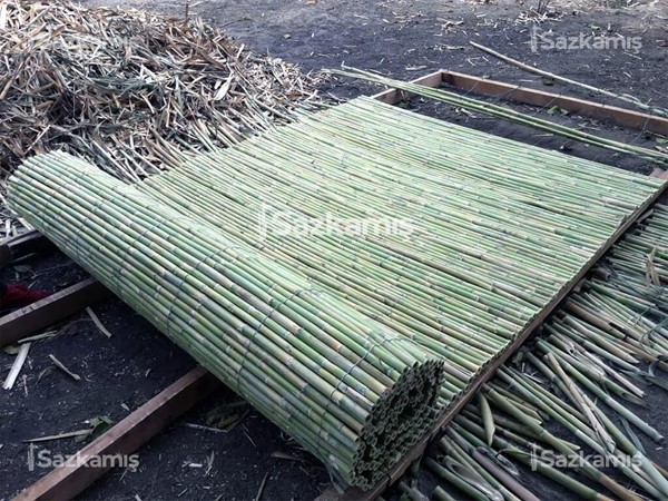 Bambu Kamış