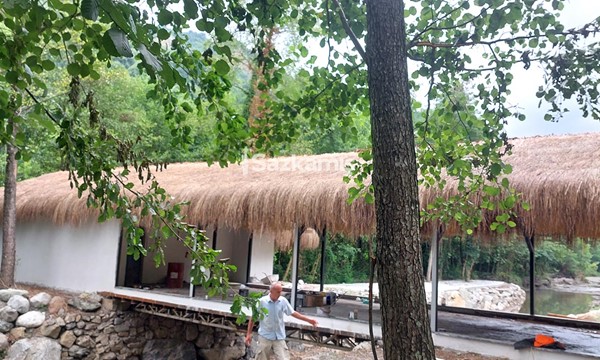 Hasır Kamelya Ürünleri