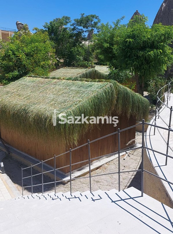 Hasır Kamelya Ürünleri