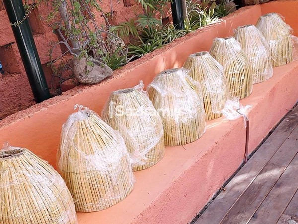 Bambu Avize ve Lambalar