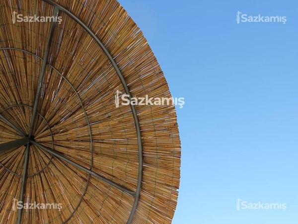 Kamış Şemsiye