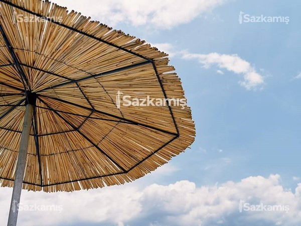 Kamış Şemsiye