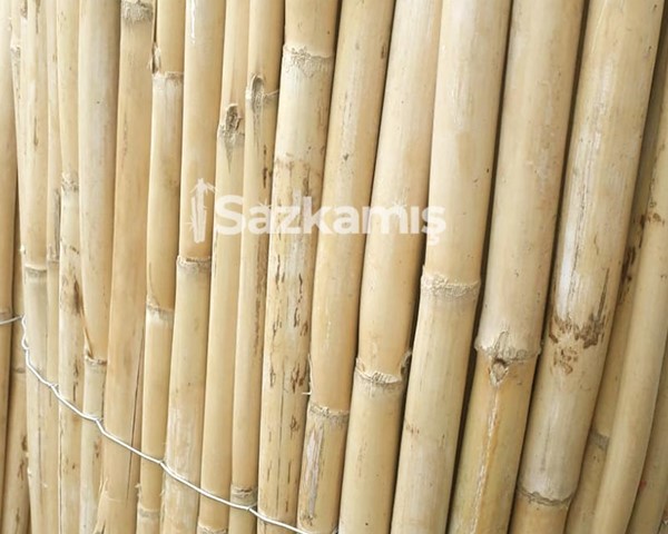 Bambu Kamış