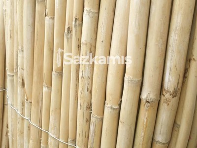 Bambu Kamış