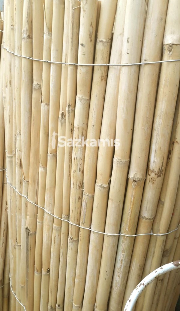 Bambu Kamış