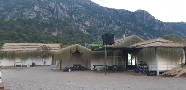 Katlı Kamış Çatılar