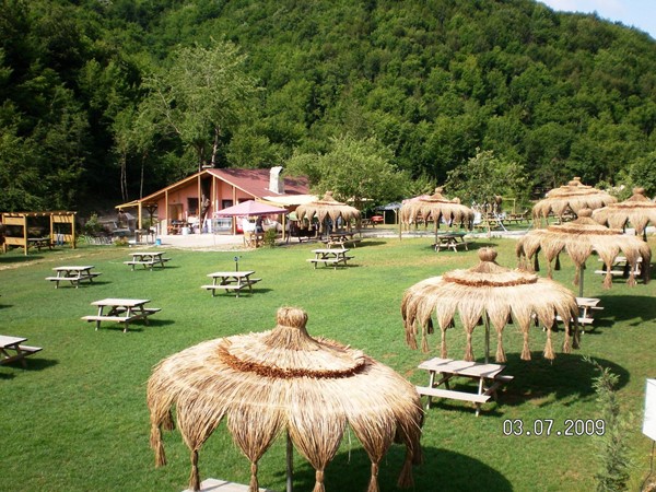 Afrika çatısı bakımı nasıl yapılır? Nasıl temizlenir?