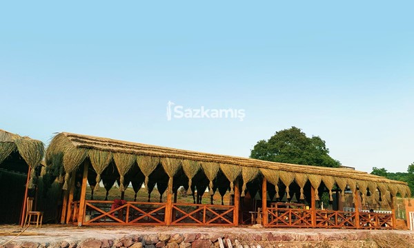 Hasır Kamelya Ürünleri